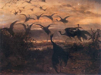 Opstijgende Kraanvogels